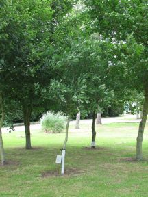 Greenwich Meridian Marker; England; Lincolnshire; East Kirkby